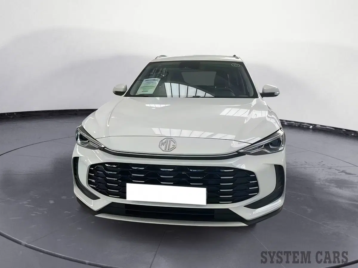Mg ZS usata a Monza e Brianza (2)