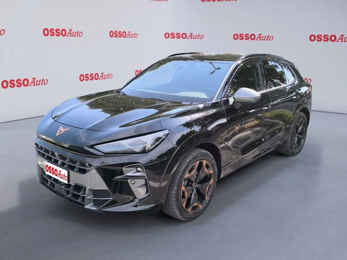 Cupra Terramar usata a Udine