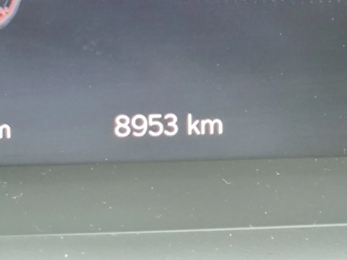 Cupra Terramar usata a Udine (10)