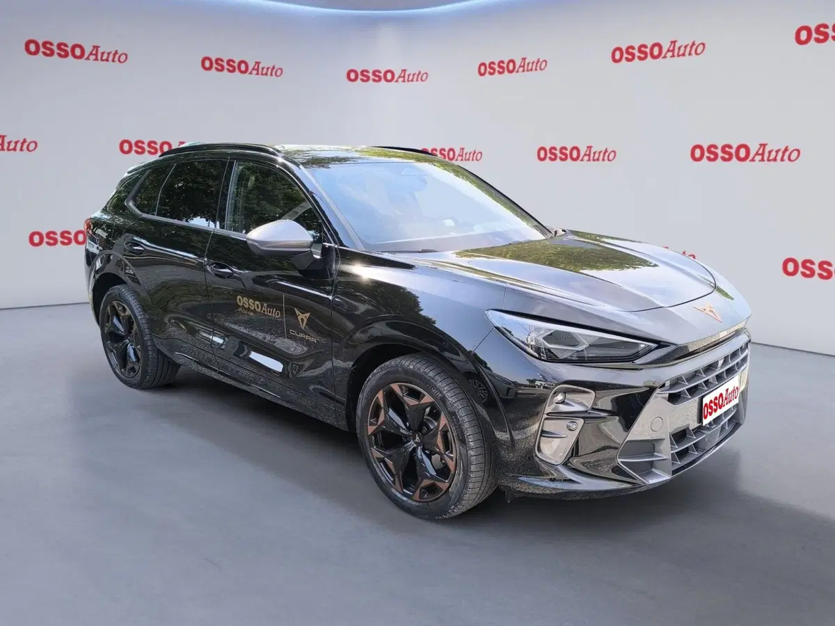 Cupra Terramar usata a Udine (2)