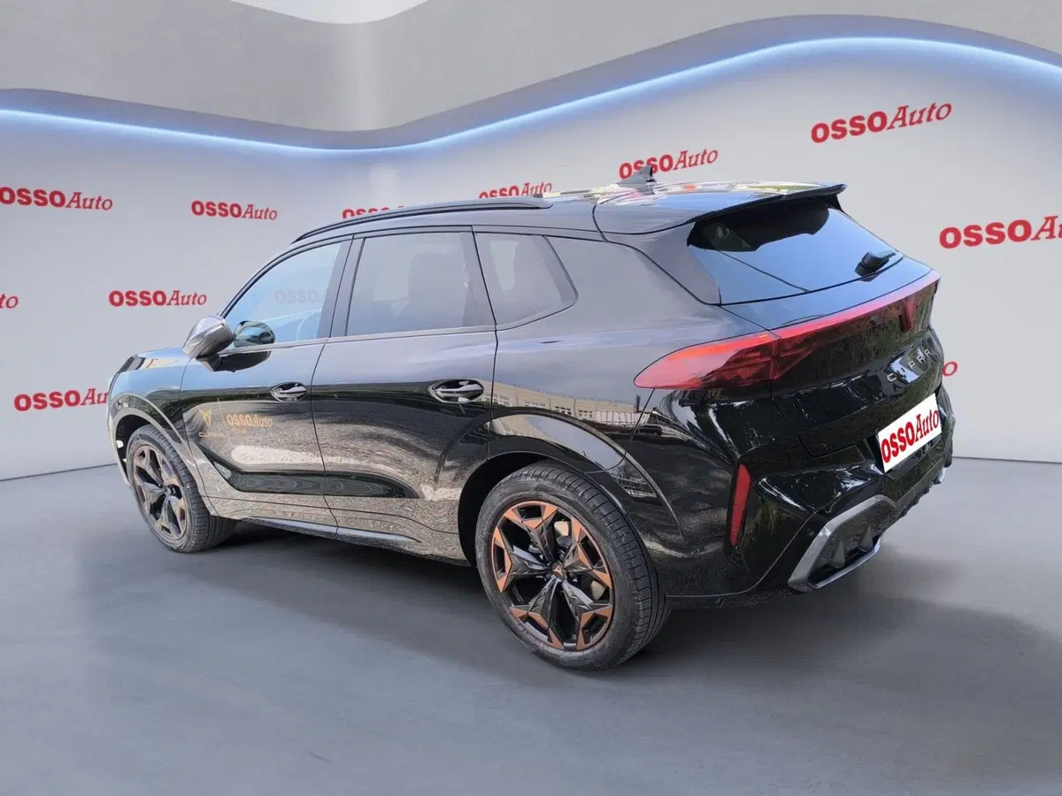 Cupra Terramar usata a Udine (3)