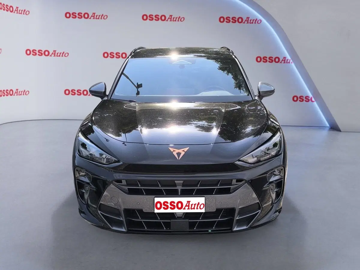 Cupra Terramar usata a Udine (4)