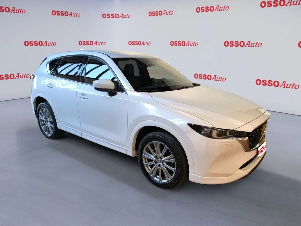Mazda CX-5 usata a Udine (2)
