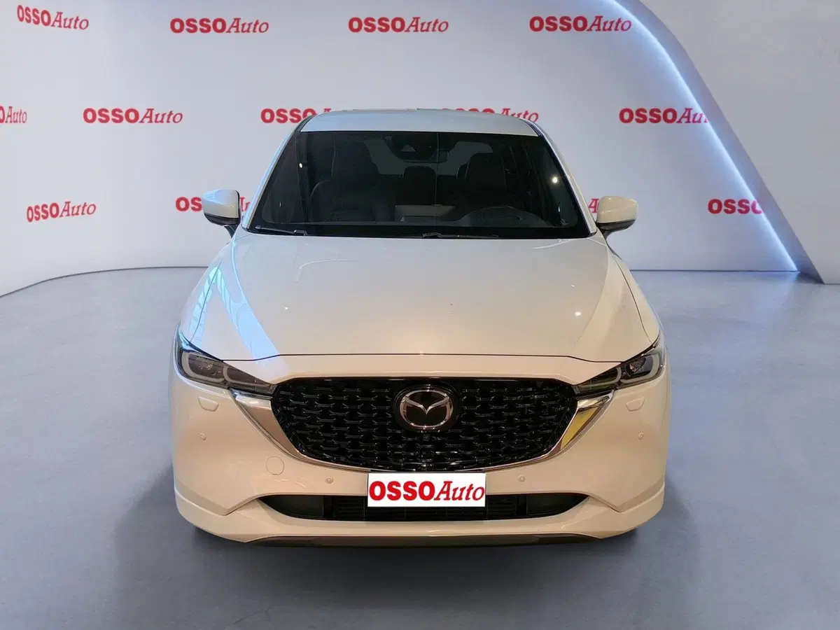 Mazda CX-5 usata a Udine (5)