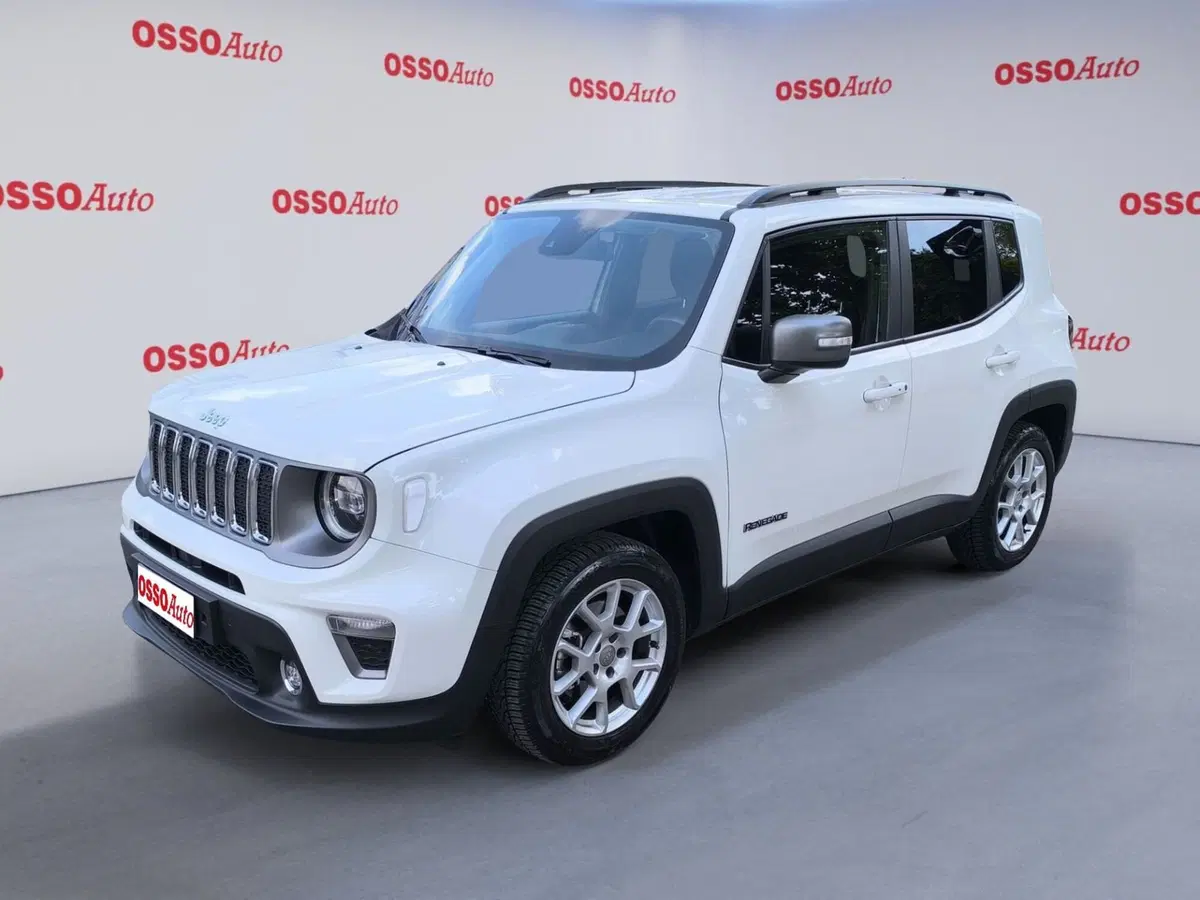 Jeep Renegade usata a Udine
