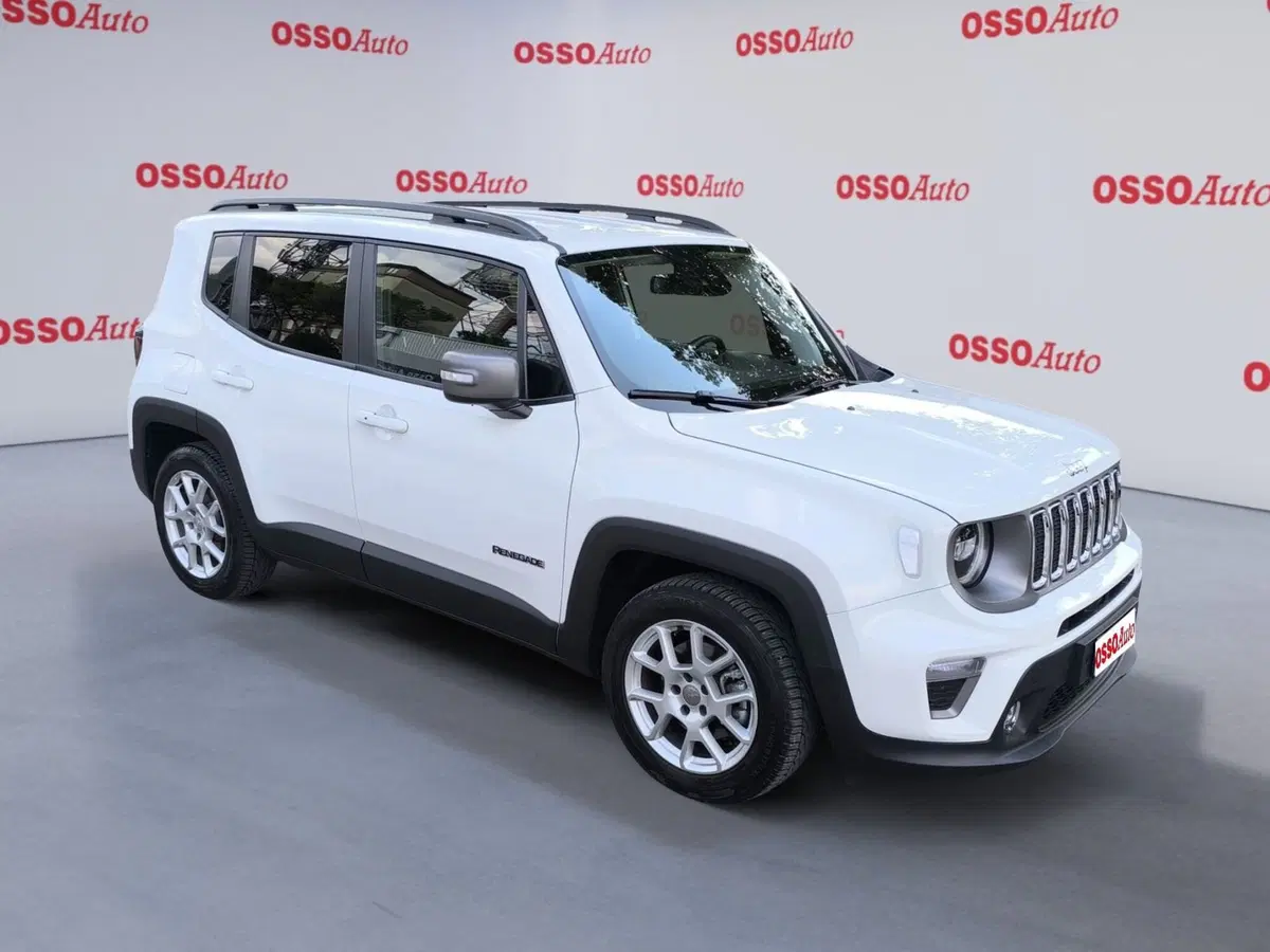 Jeep Renegade usata a Udine (2)
