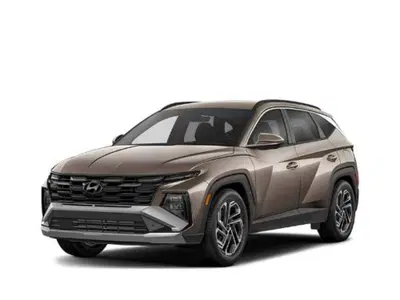 Hyundai Tucson 1.6 hev Business 2wd 239cv auto nuova a Roma