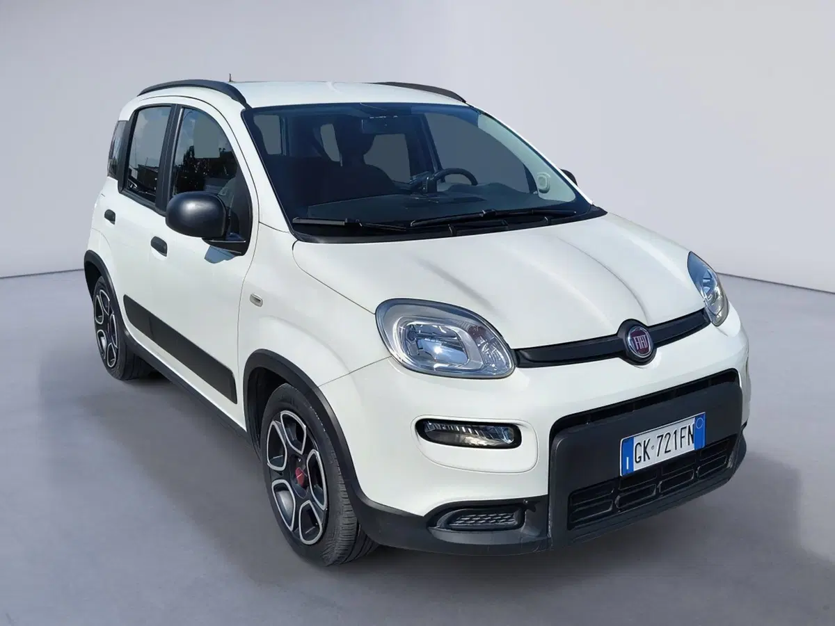 Fiat Panda Cross usata a Padova