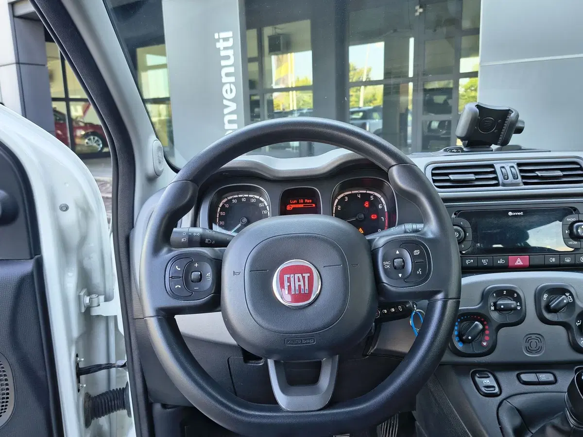 Fiat Panda Cross usata a Padova (11)