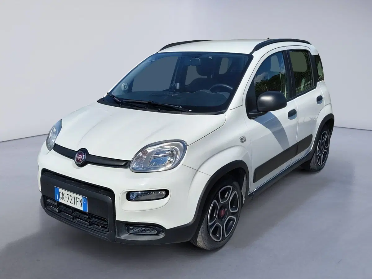 Fiat Panda Cross usata a Padova (3)