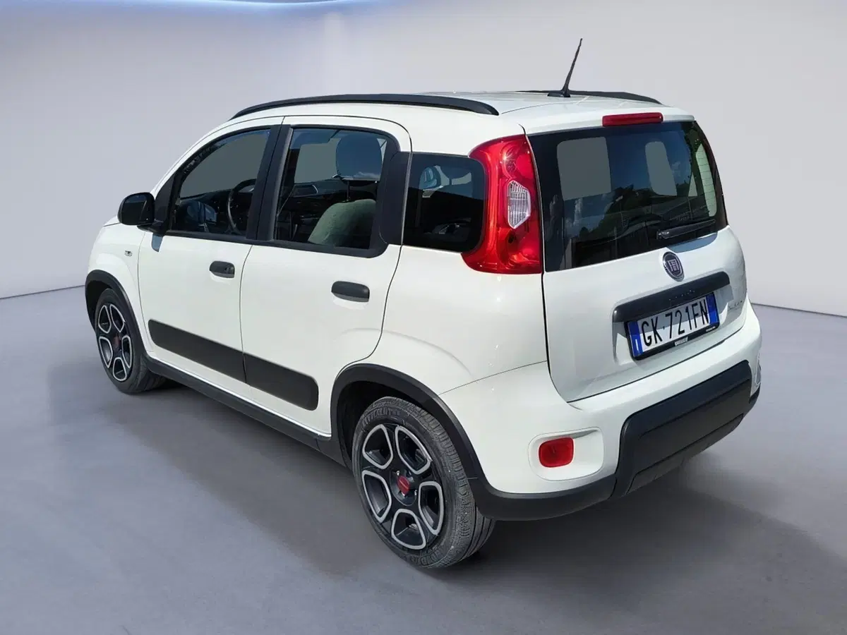 Fiat Panda Cross usata a Padova (4)