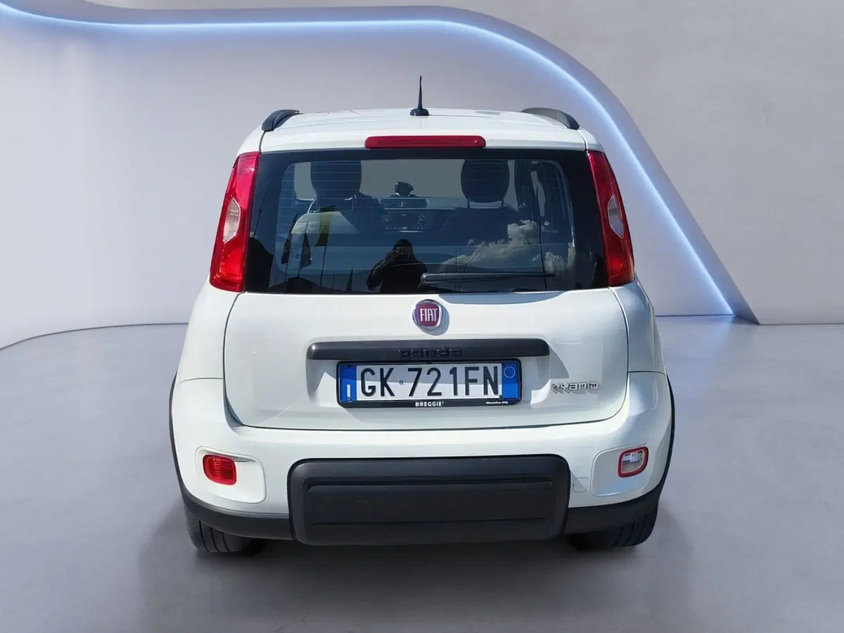Fiat Panda Cross usata a Padova (6)