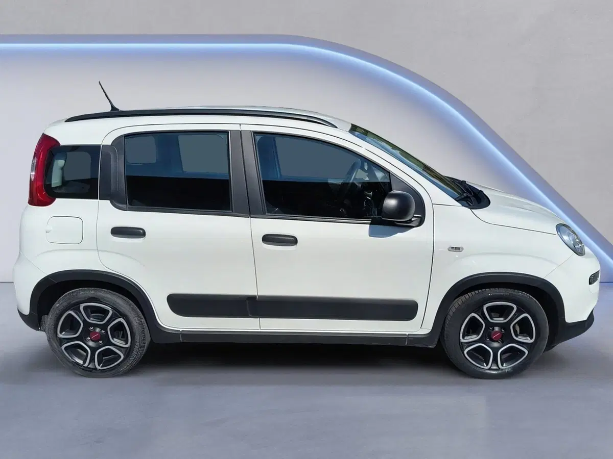 Fiat Panda Cross usata a Padova (7)