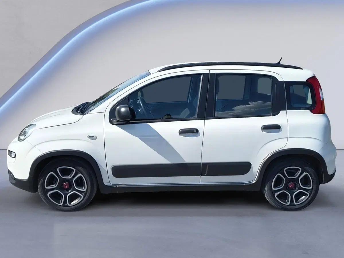 Fiat Panda Cross usata a Padova (8)