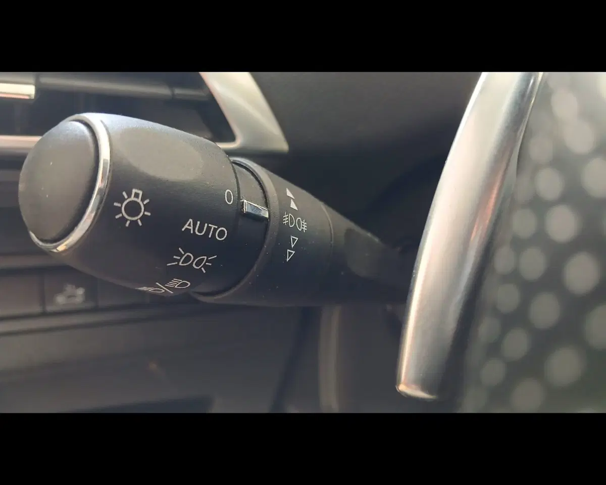 Peugeot 5008 usata a Alessandria (12)