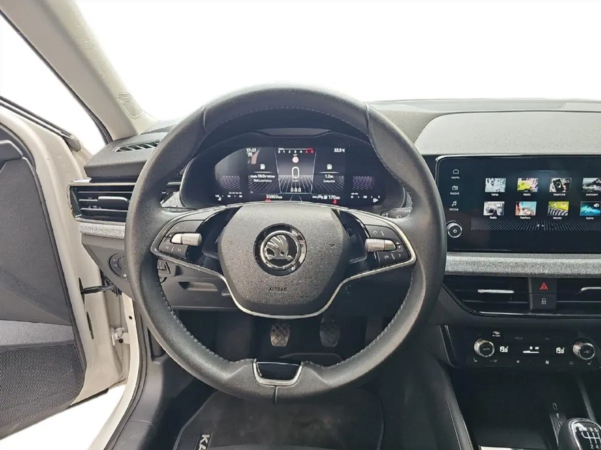 Skoda Kamiq usata a Lecco (10)