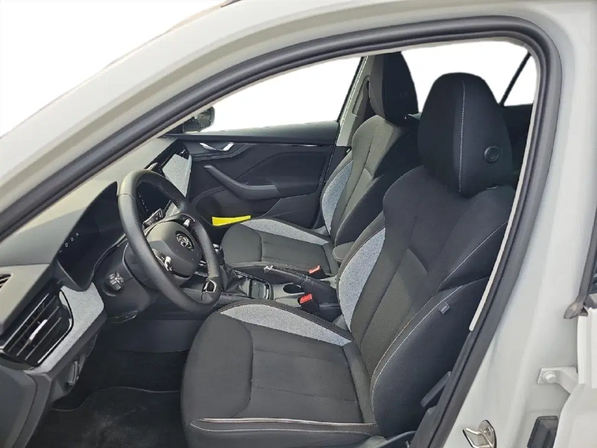 Skoda Kamiq usata a Lecco (11)