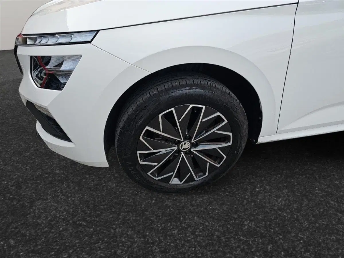 Skoda Kamiq usata a Lecco (18)