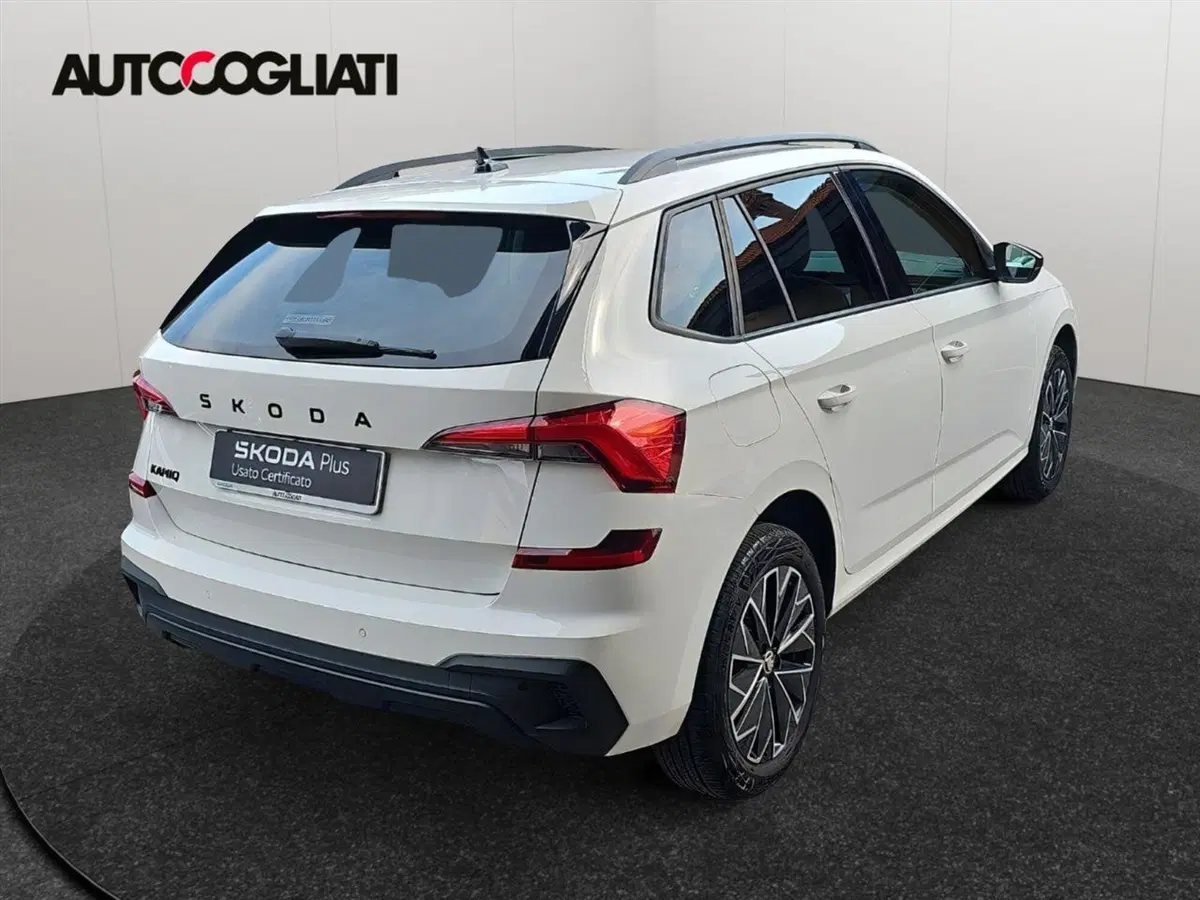 Skoda Kamiq usata a Lecco (5)