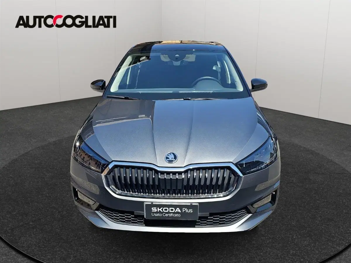 Skoda Fabia usata a Lecco (2)