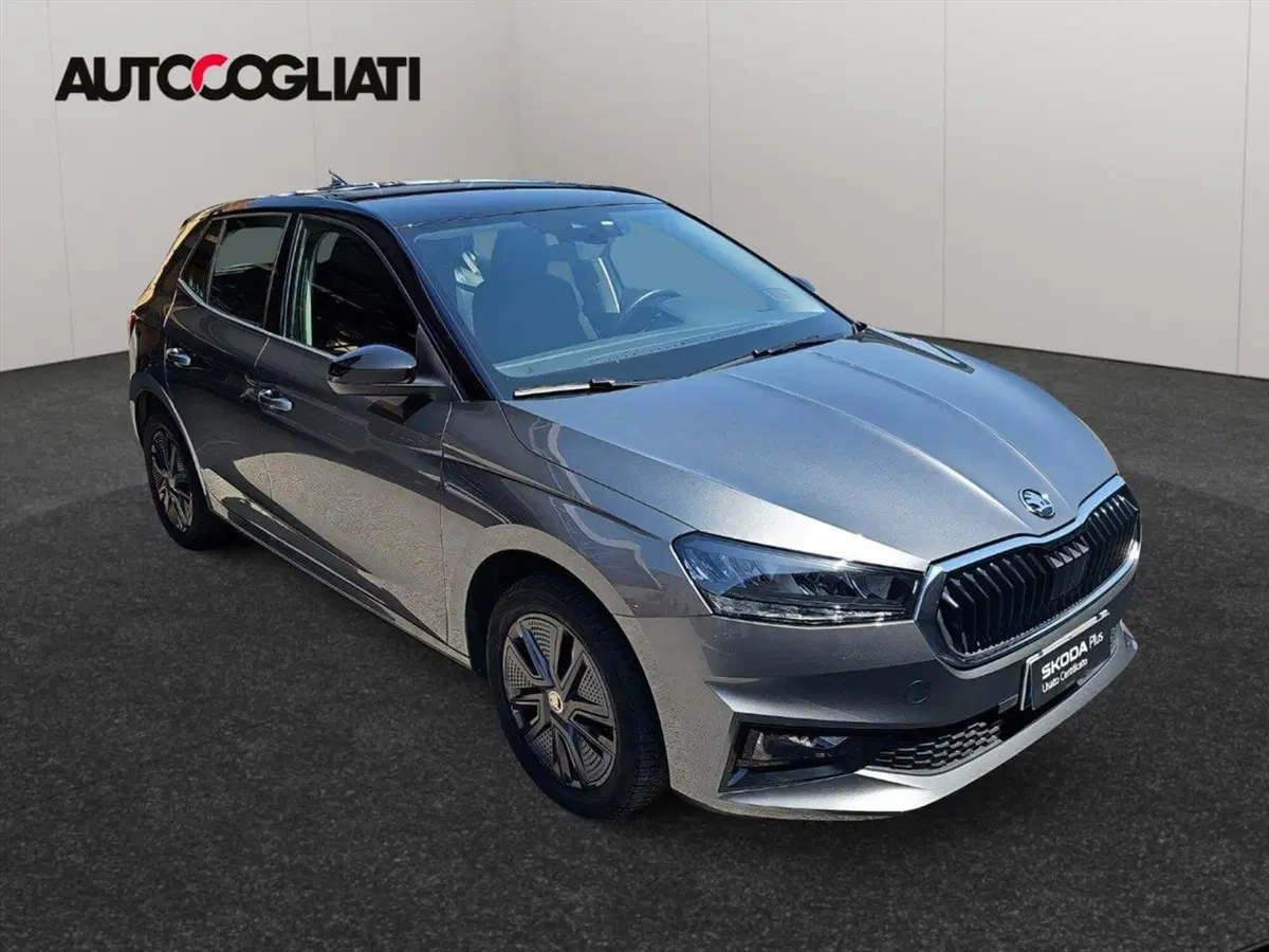 Skoda Fabia usata a Lecco (3)