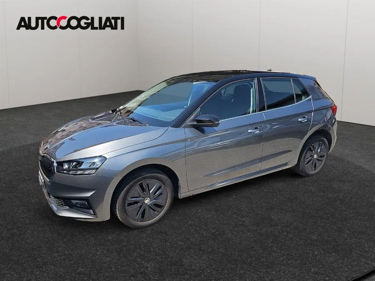 Skoda Fabia usata a Lecco (4)