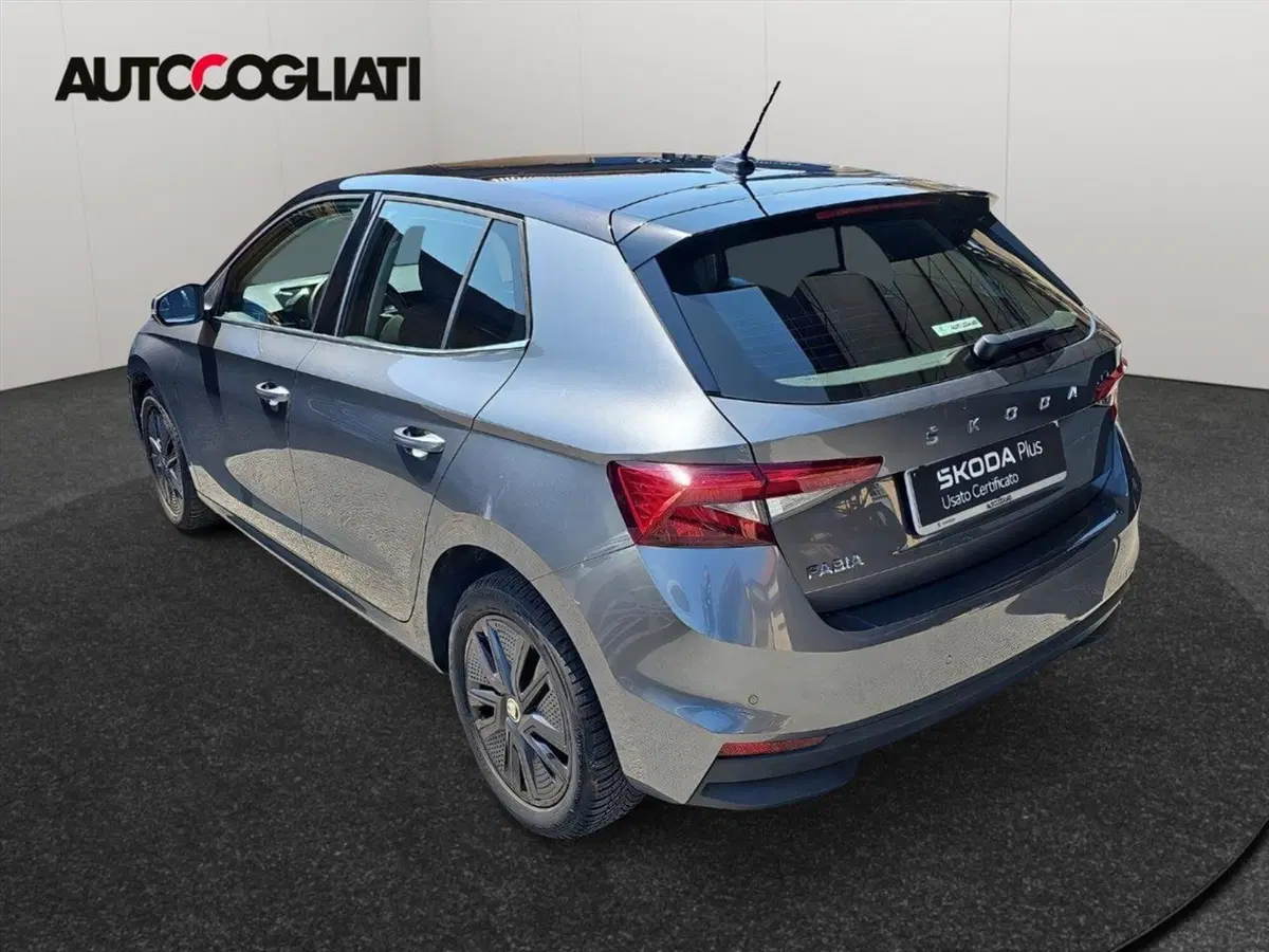 Skoda Fabia usata a Lecco (5)