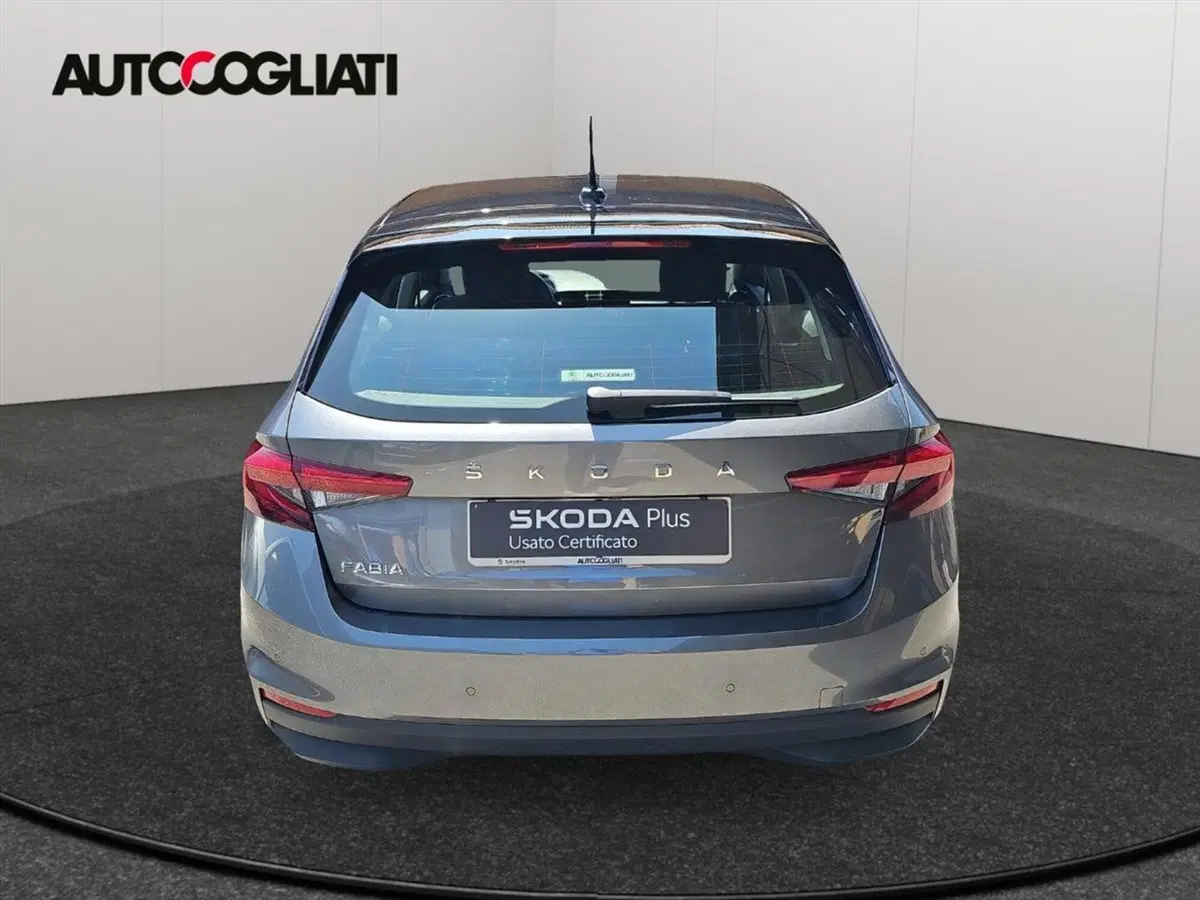 Skoda Fabia usata a Lecco (6)