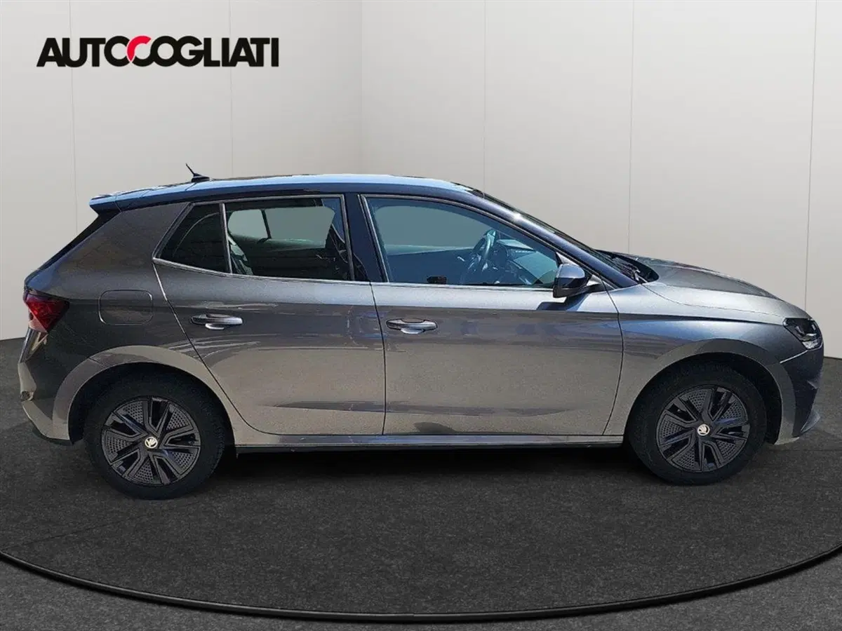 Skoda Fabia usata a Lecco (8)