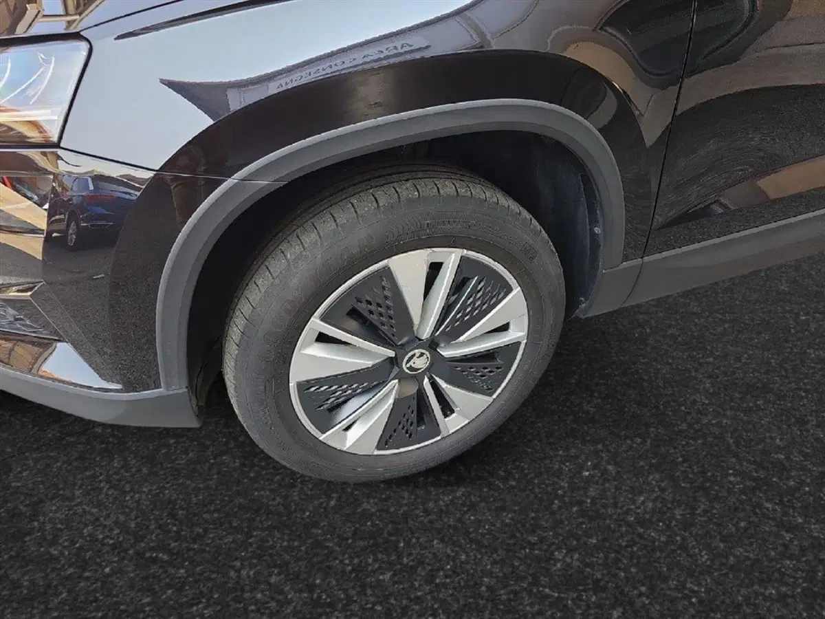Skoda Karoq usata a Lecco (18)