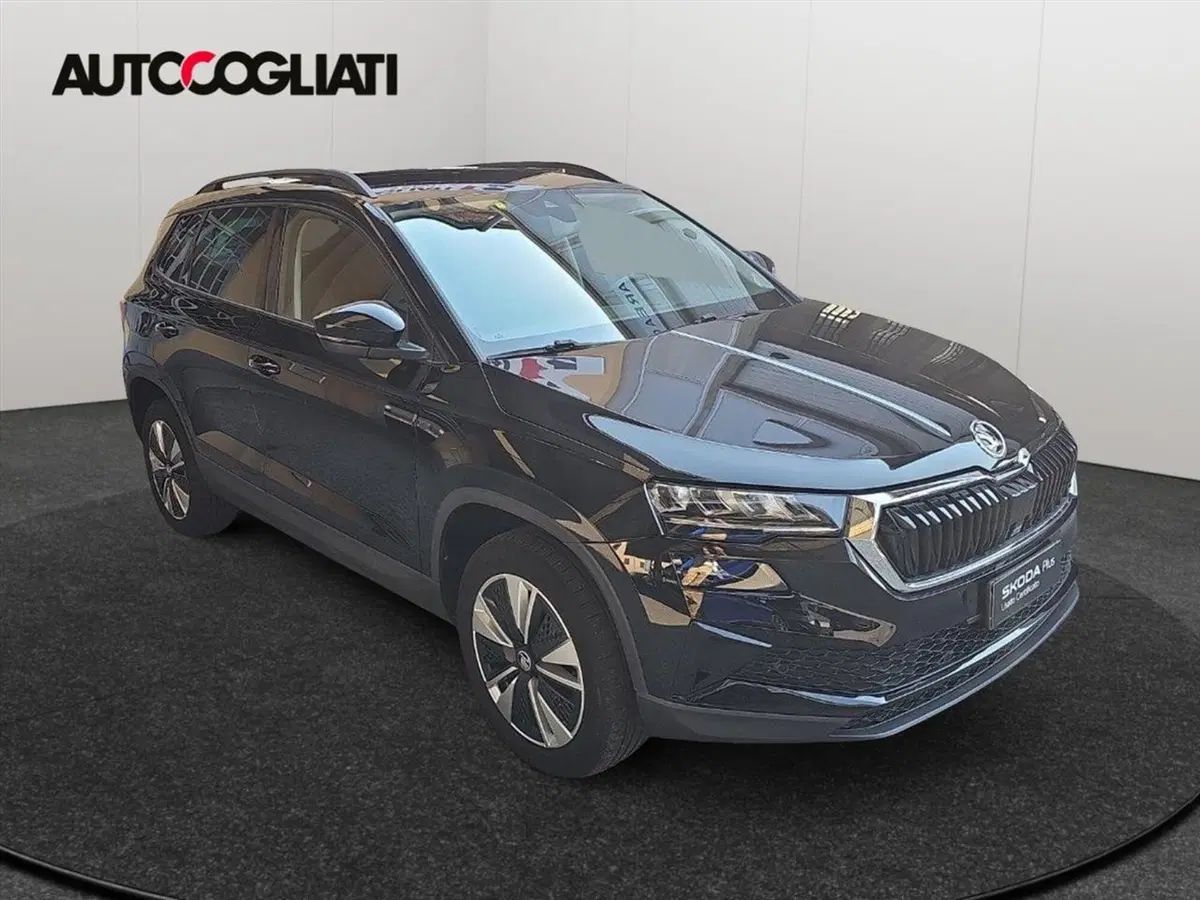 Skoda Karoq usata a Lecco (3)
