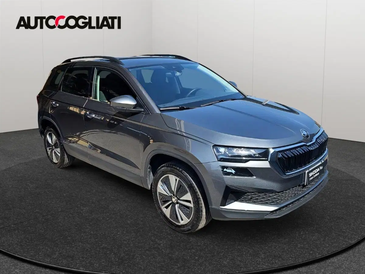 Skoda Karoq usata a Lecco (3)