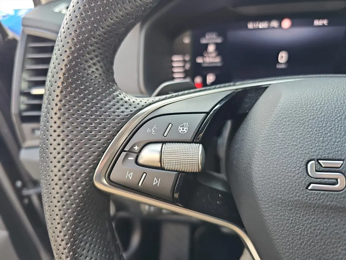 Skoda Karoq usata a Lecco (15)
