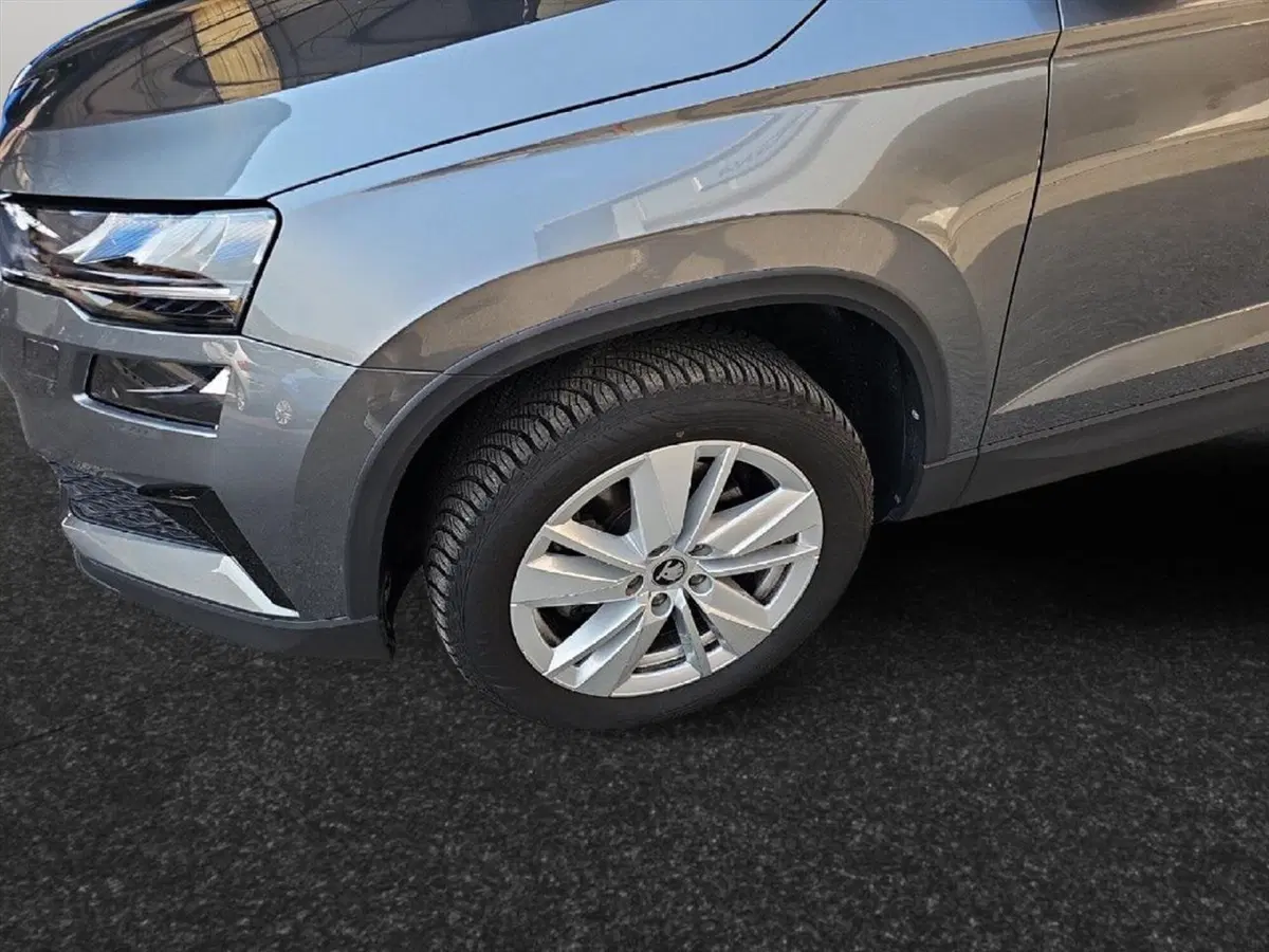 Skoda Karoq usata a Lecco (18)
