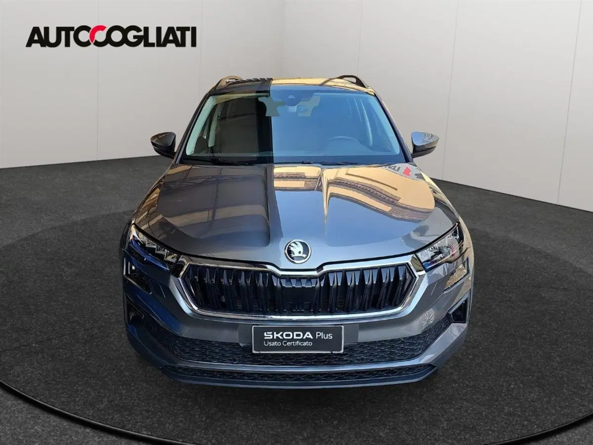 Skoda Karoq usata a Lecco (2)