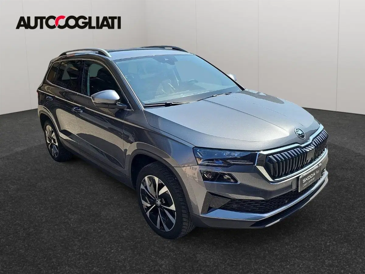 Skoda Karoq usata a Lecco (3)