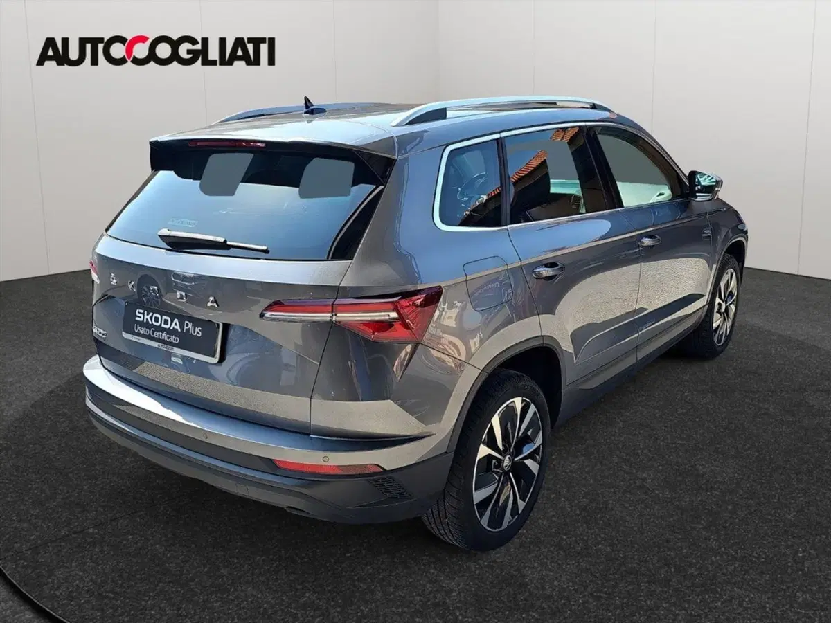 Skoda Karoq usata a Lecco (5)