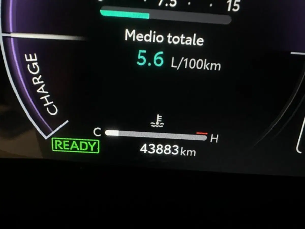 Toyota Toyota C-HR usata a Vicenza (17)