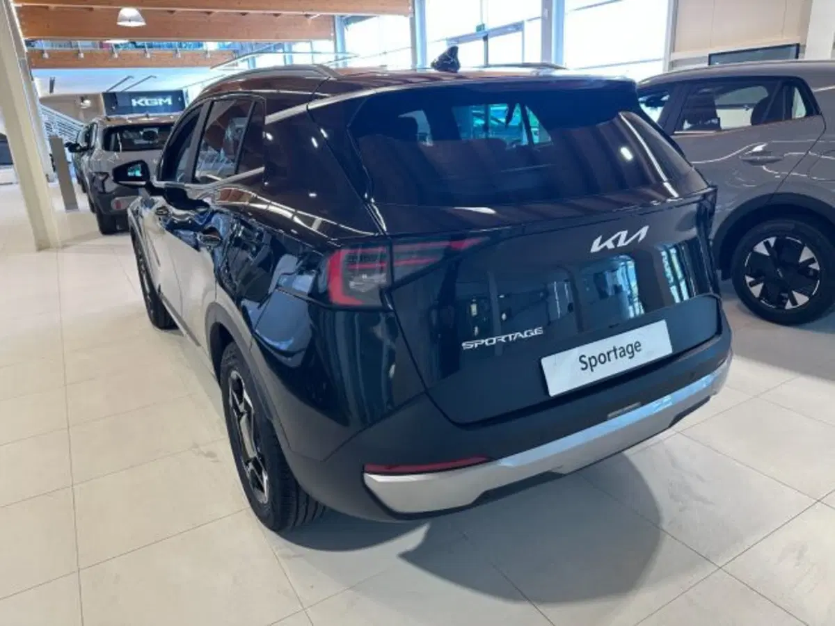 Kia Sportage nuova a Vicenza (4)