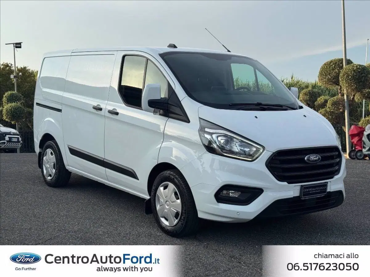 Ford Transit Custom Furgone usata a Roma (6)