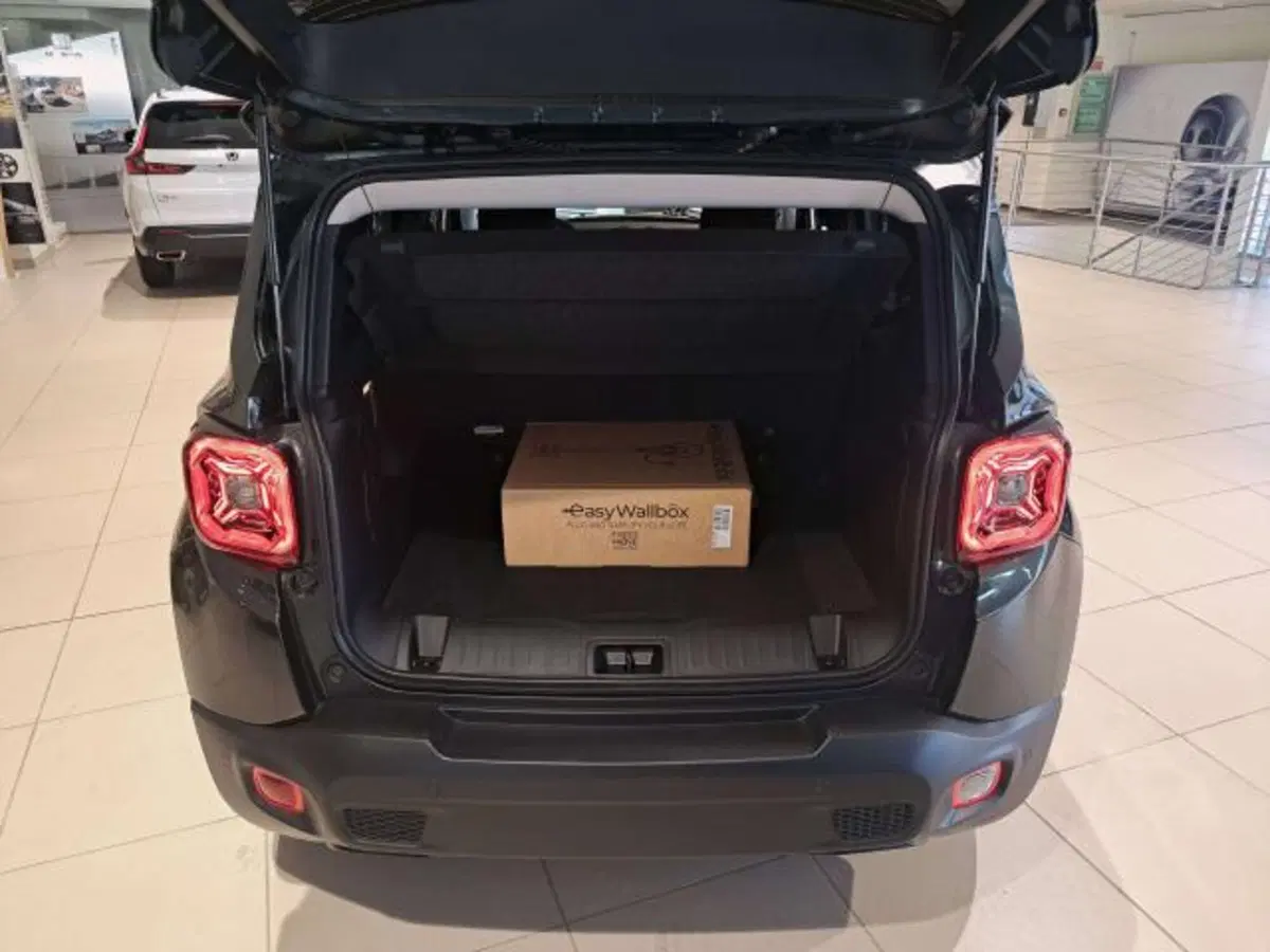 Jeep Renegade usata a Savona (10)