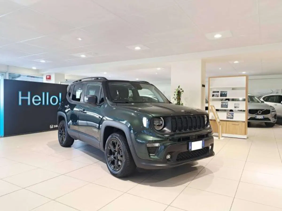 Jeep Renegade usata a Savona (4)
