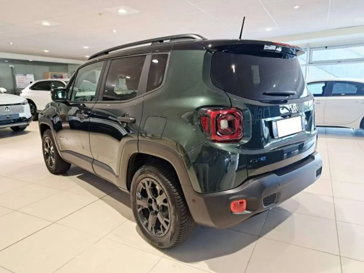 Jeep Renegade usata a Savona (8)