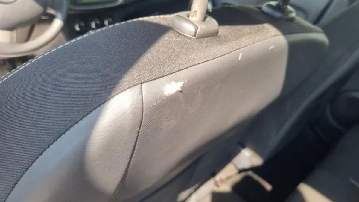 Dacia Sandero usata a Savona (15)