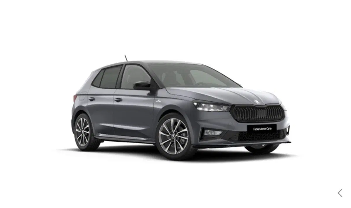 Skoda Fabia nuova a Torino