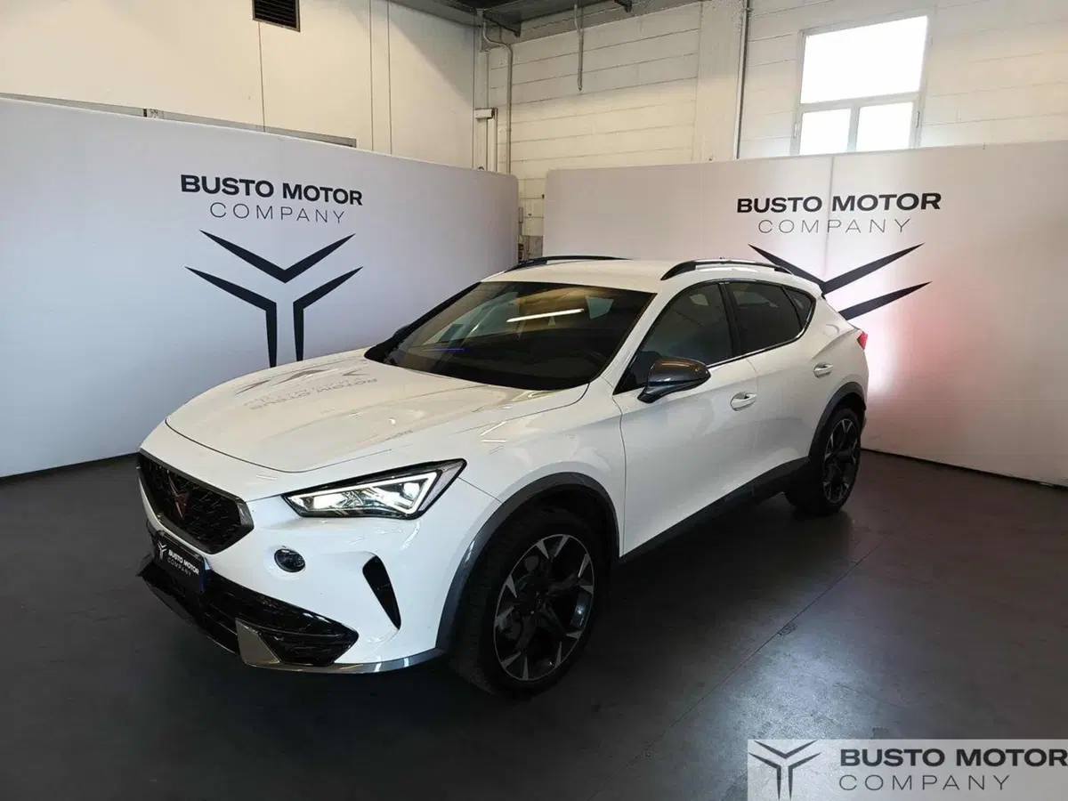 Cupra Formentor usata a Varese (3)