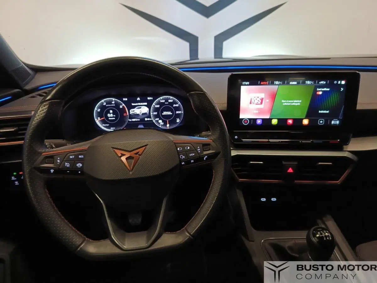 Cupra Formentor usata a Varese (11)