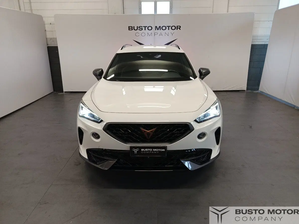 Cupra Formentor usata a Varese (2)