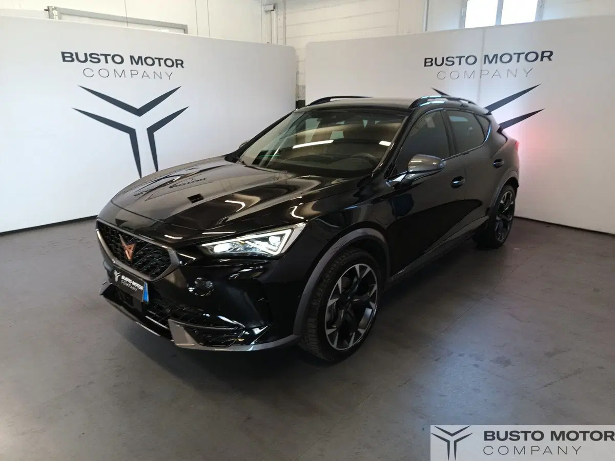 Cupra Formentor usata a Varese (3)