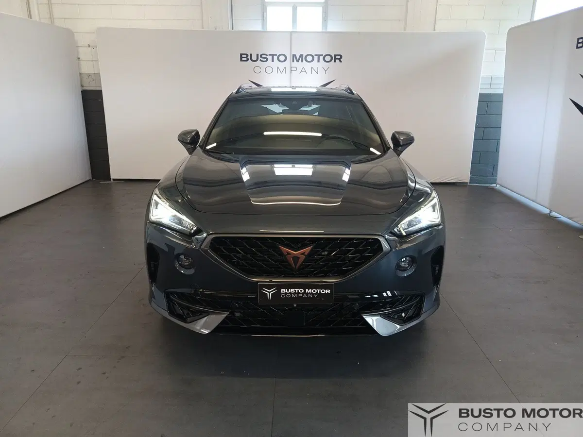 Cupra Formentor usata a Varese (2)
